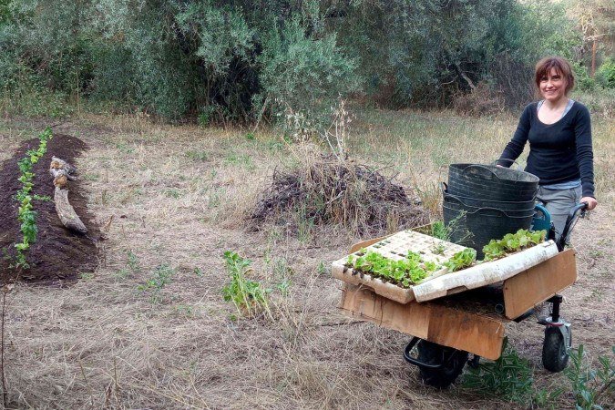 Entre muitas outras coisas, Roger cultiva na horta abóboras Yakteen, uma variedade palestina - (crédito: Cortesía) Entre muitas outras coisas, Roger cultiva na horta abóboras Yakteen, uma variedade palestina - (crédito: Cortesía)