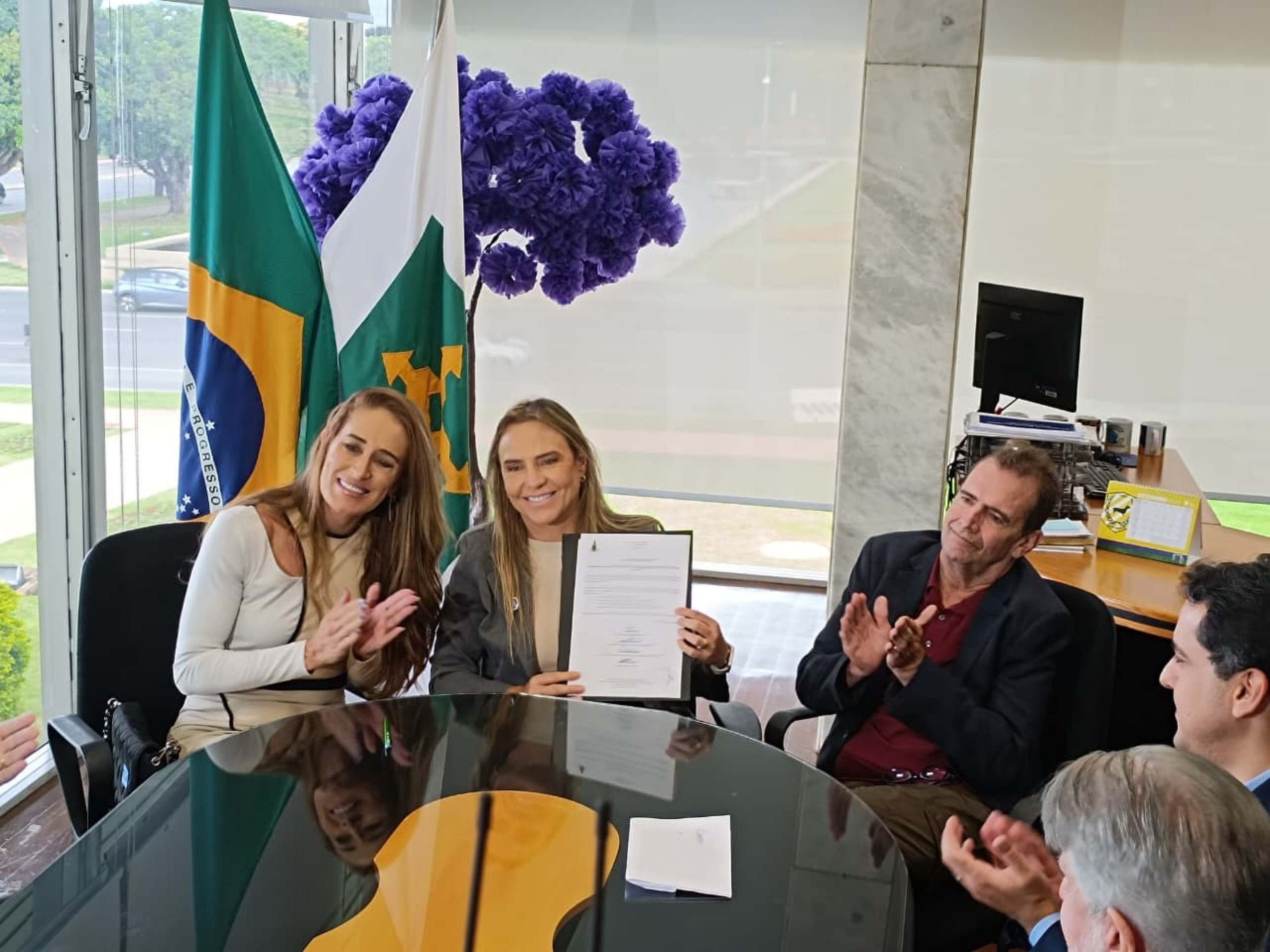 Celina Leão anuncia centro de tecnologia neuromotora integrado ao SUS