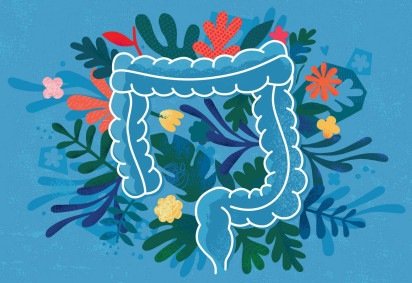 'Agora com 60 anos e recém-avô, parece um bom momento para descobrir o que meu intestino diz sobre como enfrentarei os próximos anos', diz Hugh Pym — na foto, com um suco verde recomendado por uma nutricionista -  (crédito: BBC) -'Agora com 60 anos e recém-avô, parece um bom momento para descobrir o que meu intestino diz sobre como enfrentarei os próximos anos', diz Hugh Pym — na foto, com um suco verde recomendado por uma nutricionista -  (crédito: BBC)