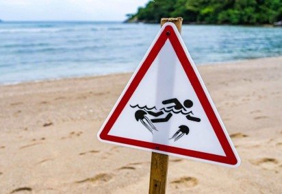 Queimaduras por água-viva são comuns no verão e pedem atenção (Imagem: Bubbers BB | Shutterstock)  -  (crédito: EdiCase) -Queimaduras por água-viva são comuns no verão e pedem atenção (Imagem: Bubbers BB | Shutterstock)  -  (crédito: EdiCase)