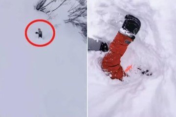 Esquiador salva vítima de avalanche na Suíça após braço emergir da neve. -  (crédito: Reprodução/Instagram)