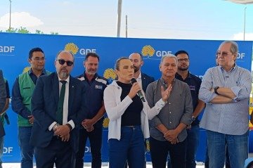 Celina Leão anuncia fim das carroças no DF, apreensão de animais e financiamento para trabalhadores -  (crédito: Ana Carolina Alves/CB/D.A Press)