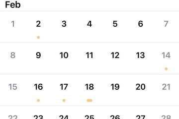 Fevereiro de 2026 terá 4 domingos, 4 segundas-feiras, 4 terças, 4 quartas e assim por diante -  (crédito: Reprodução)