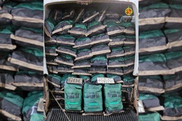 O motorista n&atilde;o apresentou o Documento de Origem Florestal (DOF) do carv&atilde;o nem notas fiscais -  (crédito: Divulga&ccedil;&atilde;o/PMDF)