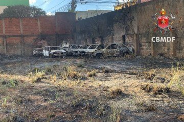 Segundo o Corpo de Bombeiros (CBMDF), o fogo se alastrou rapidamente devido às condições do terreno -  (crédito: Divulgação/CBMDF)