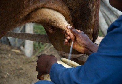 Suspeito troca tiros com a PM ao matar homem em distrito de Resplendor (MG) -  (crédito: PxHere/Reprodução)