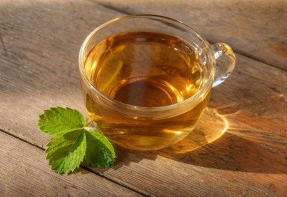 As plantas trazem a natureza para dentro de casa e são excelentes para a preparação de chás saudáveis (Imagem: SpotLuda | Shutterstock) -  (crédito: EdiCase) -As plantas trazem a natureza para dentro de casa e são excelentes para a preparação de chás saudáveis (Imagem: SpotLuda | Shutterstock) -  (crédito: EdiCase)