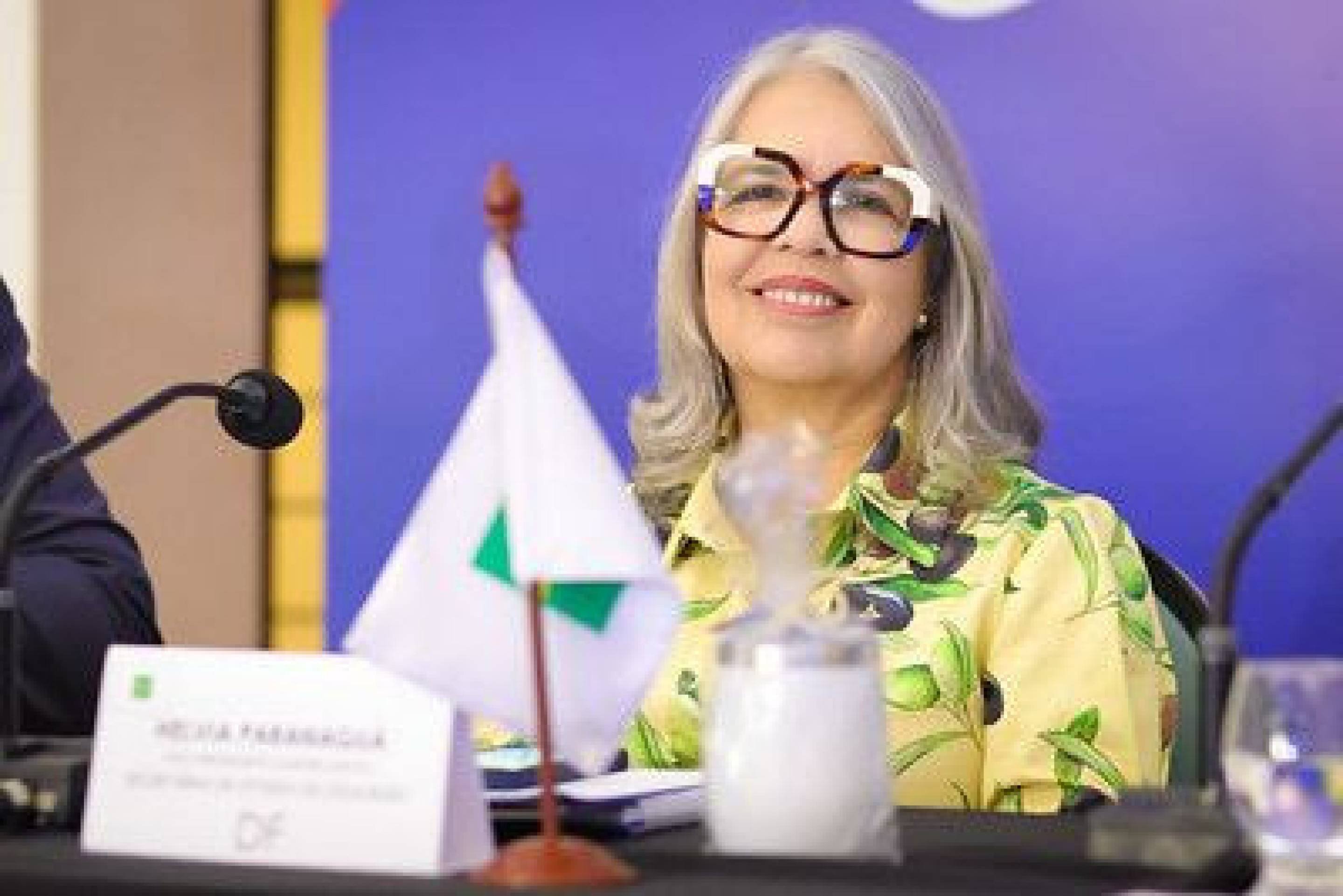 Secret&aacute;ria de Estado e Educa&ccedil;&atilde;o do Distrito Federal, H&eacute;lvia Paranagu&aacute; 