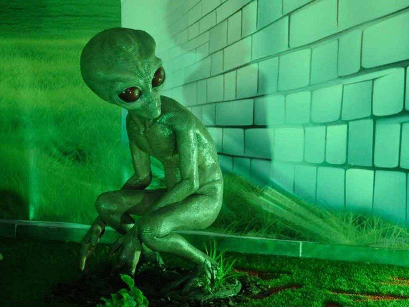 estátua no Memorial reconstitui criatura descrita por três jovens de Varginha em 1996 e o ambiente em que o avistamento teria acontecido -  (crédito: Alexandre Guzanshe/EM/D.A Press)