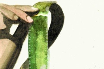 cinema opini -  (crédito: kleber)