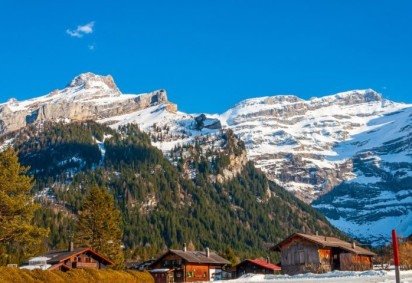 <p>Uma história de sobrevivência ocorrida no verão europeu de 2025 voltou a ganhar destaque depois de uma reportagem publicada pela BBC.</p>
 -  (crédito: Freepik/wirestock) -<p>Uma história de sobrevivência ocorrida no verão europeu de 2025 voltou a ganhar destaque depois de uma reportagem publicada pela BBC.</p>
 -  (crédito: Freepik/wirestock)