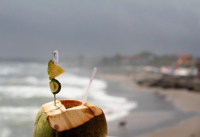 <p>A água de coco é uma das bebidas mais associadas ao verão. Refrescante e leve, ela ajuda a repor líquidos perdidos com o calor.</p>
 -  (crédito: Imagem de Peggy por Pixabay) -<p>A água de coco é uma das bebidas mais associadas ao verão. Refrescante e leve, ela ajuda a repor líquidos perdidos com o calor.</p>
 -  (crédito: Imagem de Peggy por Pixabay)