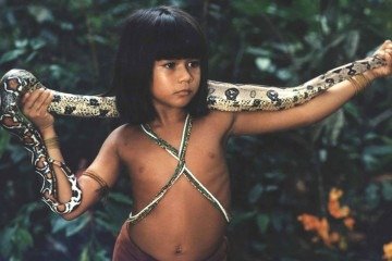 Tainá - Uma aventura na Amazônia : conexão com a floresta