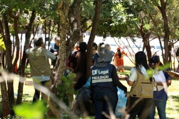 Serão ofertados serviços em diversas áreas como saúde, educação e assistência social -  (crédito: Divulgação)