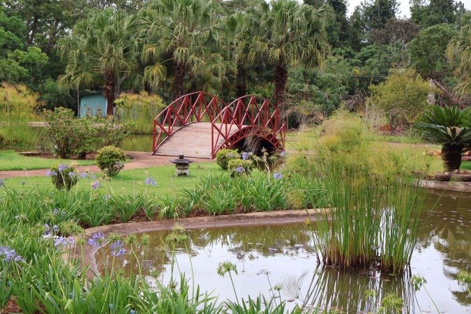 O Jardim Japon&ecirc;s mostra a diversidade de esp&eacute;cies na cole&ccedil;&atilde;o do JBB      