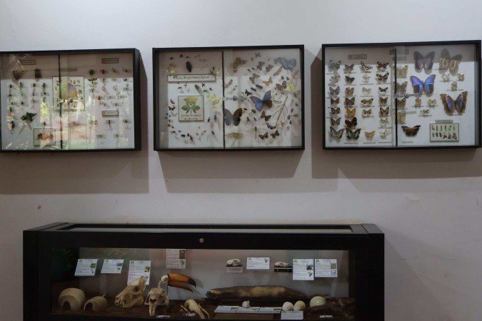  22/01/2026 Bruna Gaston CB/DA Press, Jardim Botânico
      