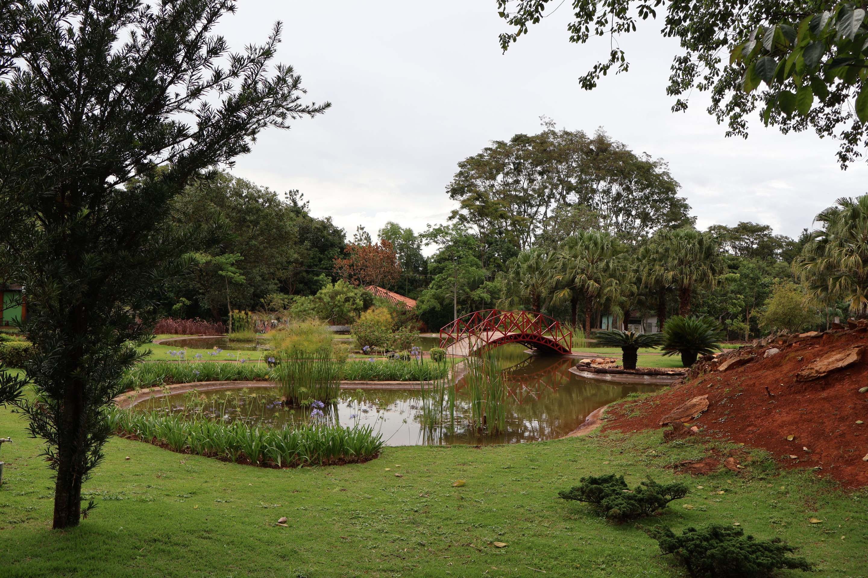 Jardim Botânico de Brasília preserva o melhor do Cerrado; conheça