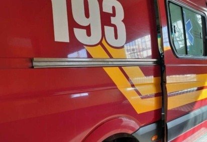 Uma jaguatirica que estava em uma propriedade rural em Bom Jesus do Amparo, na Regi&atilde;o Central do estado, foi capturada pelo Corpo de Bombeiros Militar de Minas Gerais (CBMMG) -  (crédito: Divulga&ccedil;&atilde;o/Corpo de Bombeiros)