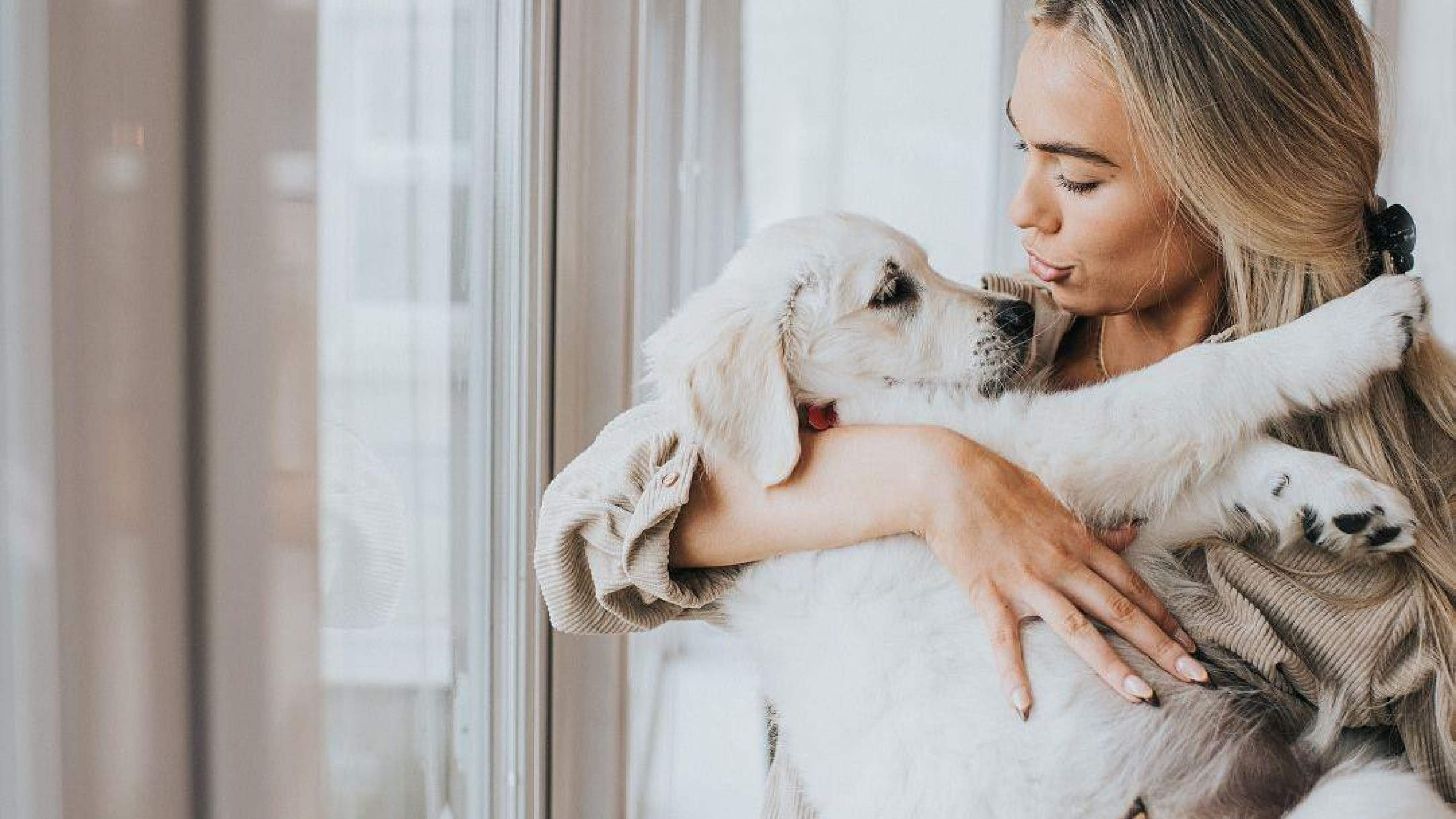 'Em animais de pelo curto, quanto menos banho, melhor', diz veterinária Ana Luísa Lopes -  (crédito: Getty Images)
