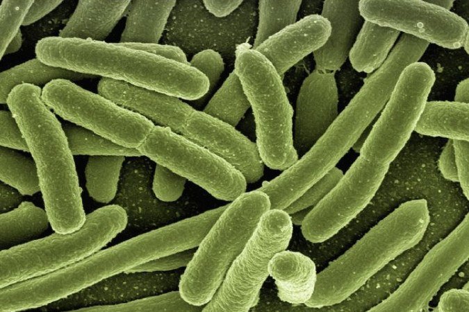 Produzida naturalmente pela bactéria do solo streptomyces rimosus, a manikomicina interfere diretamente na fabricação de proteínas, processo essencial para a sobrevivência dos microrganismos. - (crédito: Gerd Altmann/Pixabay) Produzida naturalmente pela bactéria do solo streptomyces rimosus, a manikomicina interfere diretamente na fabricação de proteínas, processo essencial para a sobrevivência dos microrganismos. - (crédito: Gerd Altmann/Pixabay)
