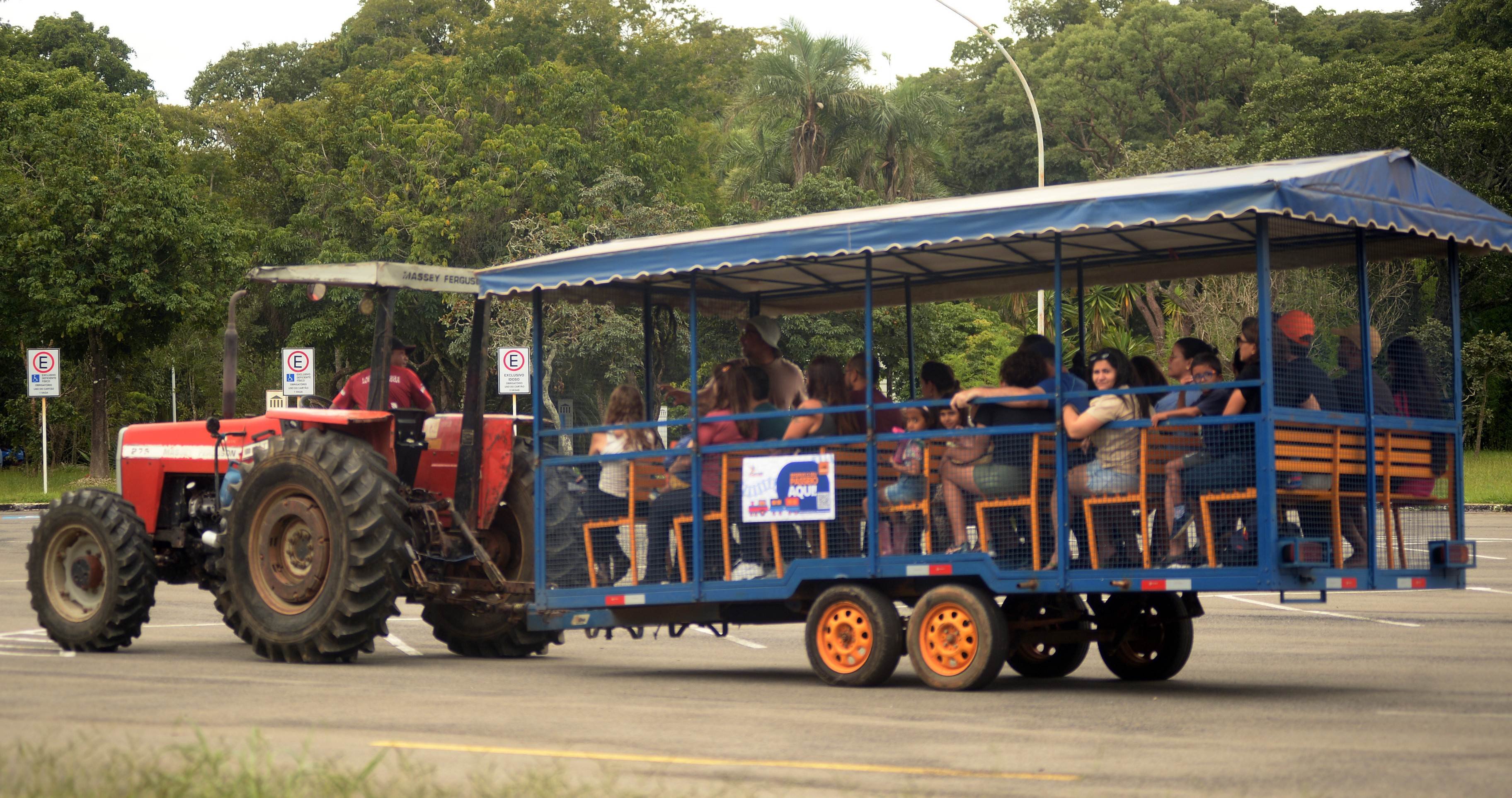 Entre histórias e nascentes: conheça o Passeio do Trenzinho Cultural
