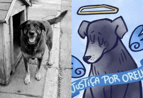 Reprodução/Redes sociais