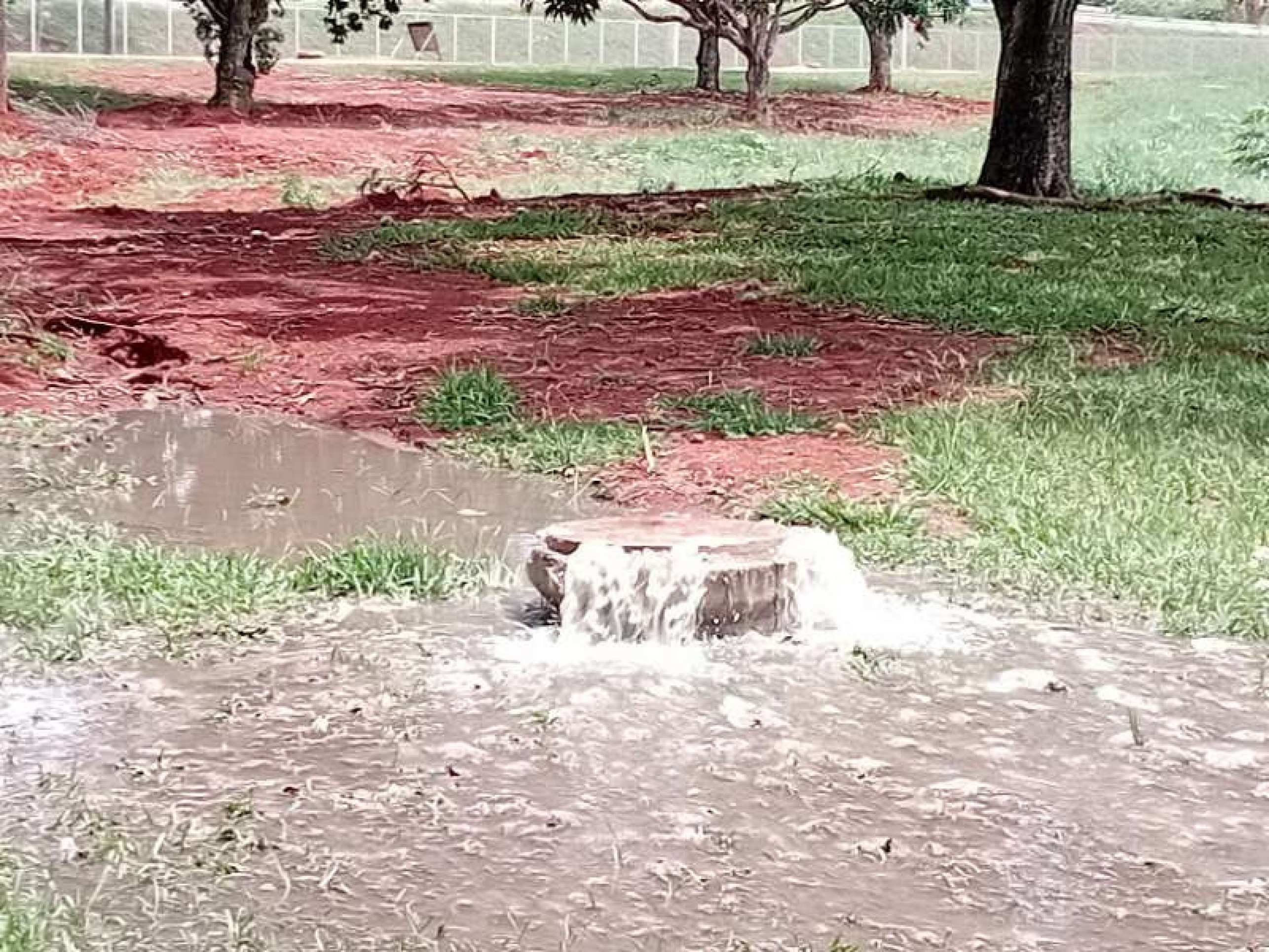 Caesb desobstruiu a rede de esgoto no trecho afetado