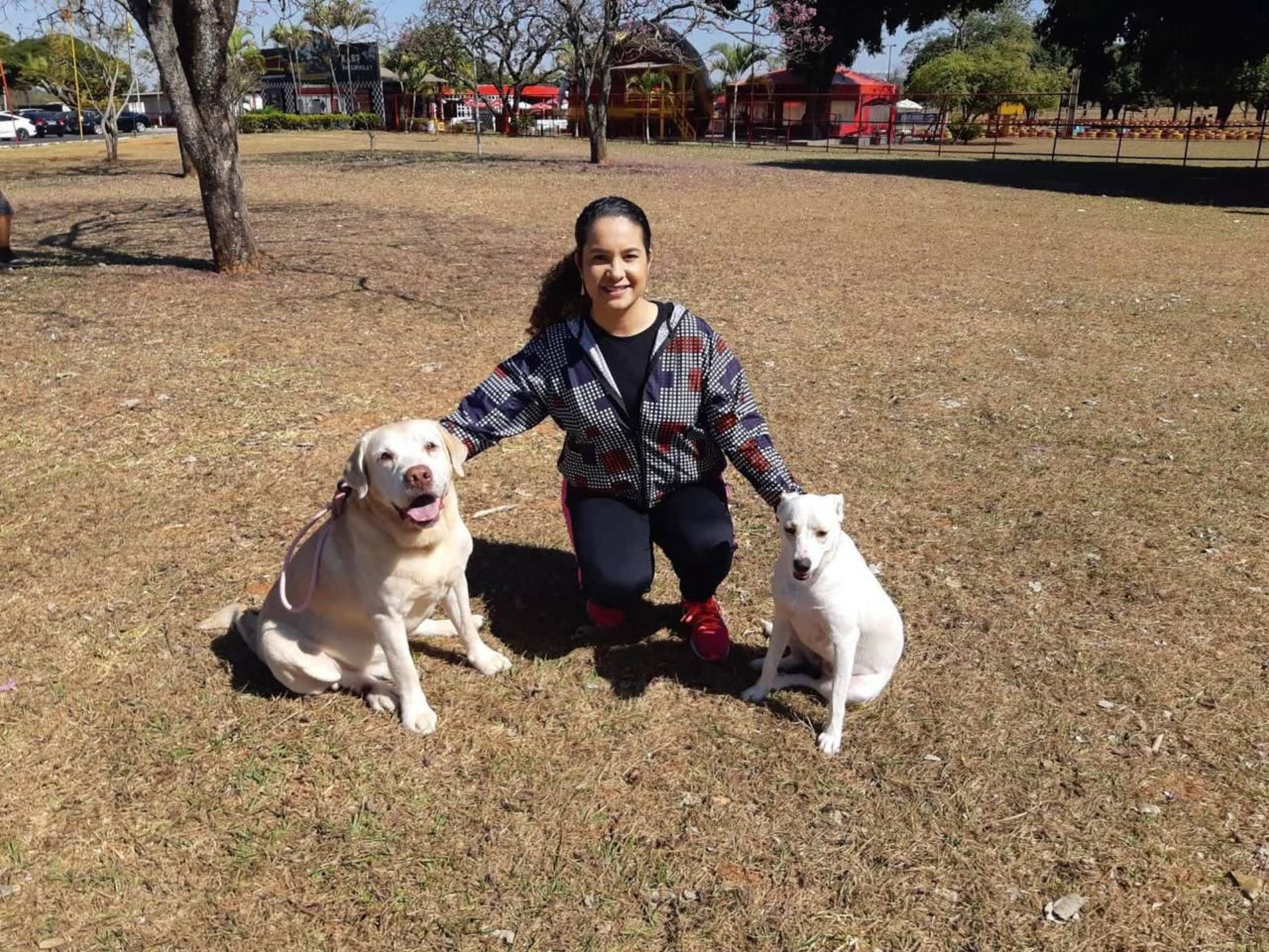 Educação em quatro patas: saiba a importância do adestramento para o pet 