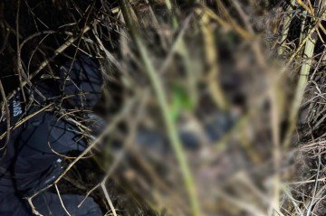 Corpo de corretora de imovéis desaparecida em Caldas Novas é encontrado em área de mata da região - (crédito: Polícia Civil do Estado do Goiás) Corpo de corretora de imovéis desaparecida em Caldas Novas é encontrado em área de mata da região - (crédito: Polícia Civil do Estado do Goiás)