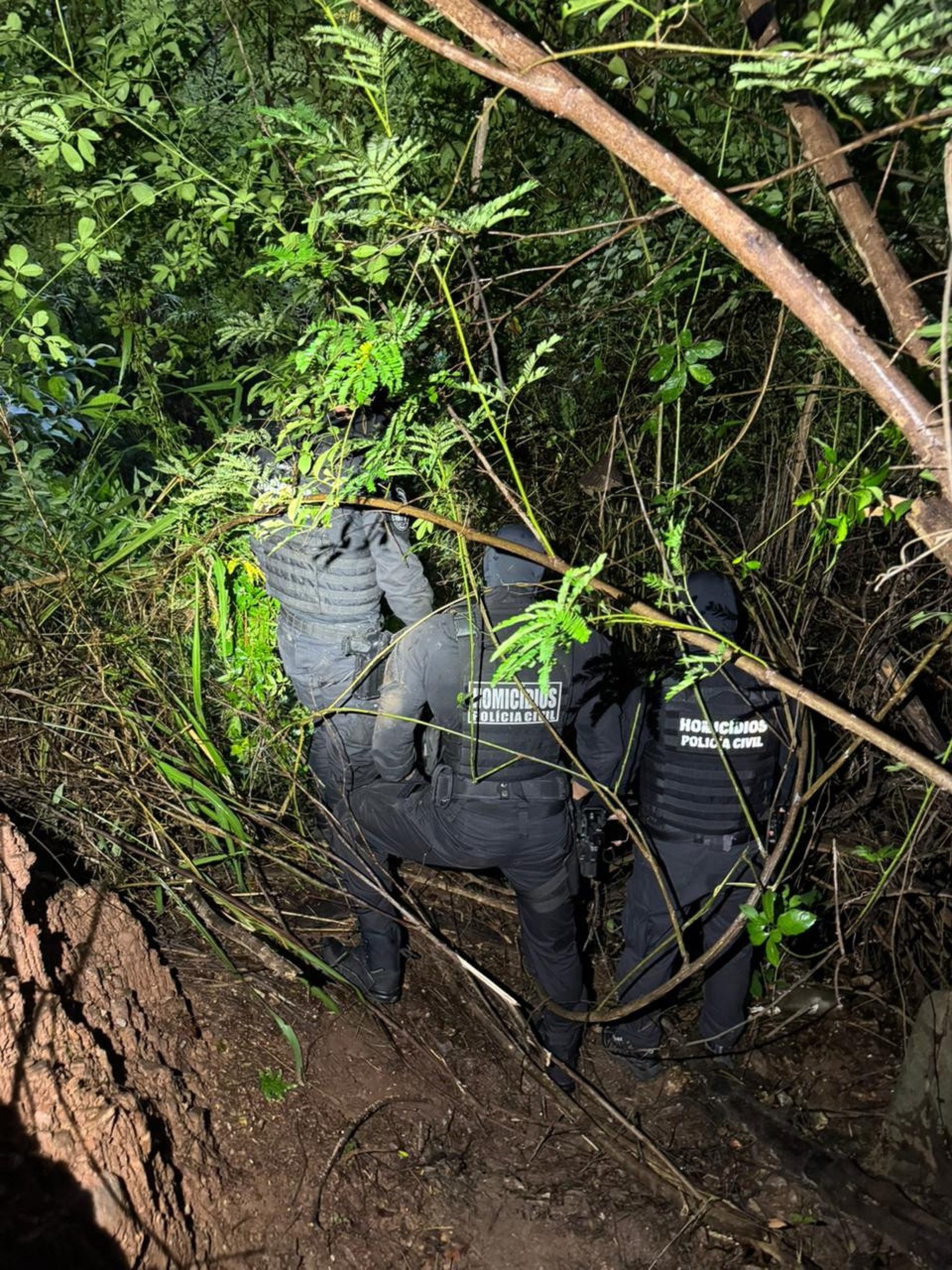 Corpo de corretora de imov&eacute;is desaparecida em Caldas Novas &eacute; encontrado em &aacute;rea de mata da regi&atilde;o