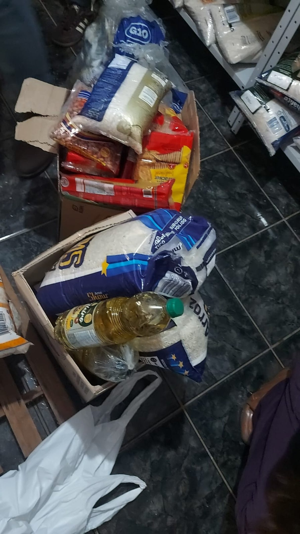 Abrigo clandestino foi autuado por diferentes irregularidades