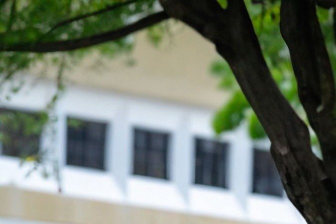  Sávio, deficiente visual, se socializa mais por causa da cadela Filó 