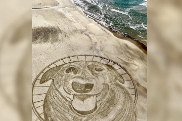 O artista Cleyton Balduíno fez um desenho em homenagem ao Cão Orelha, nas areias da praia da Galheta, em Florianópolis. A imagem possui cerca de 40m e demorou 2h para ficar pronta -  (crédito: Cleyton Balduíno/Reprodução)