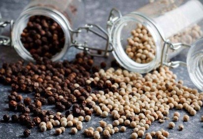 Em 1430, um quilo de grãos de pimenta custava tanto quanto um porco -  (crédito: Getty Images) -Em 1430, um quilo de grãos de pimenta custava tanto quanto um porco -  (crédito: Getty Images)