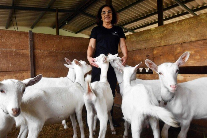 Giovana Navarro, do Cabríssima, viu na criação de cabras uma oportunidade - (crédito: Ed Alves CB/DA Press) Giovana Navarro, do Cabríssima, viu na criação de cabras uma oportunidade - (crédito: Ed Alves CB/DA Press)