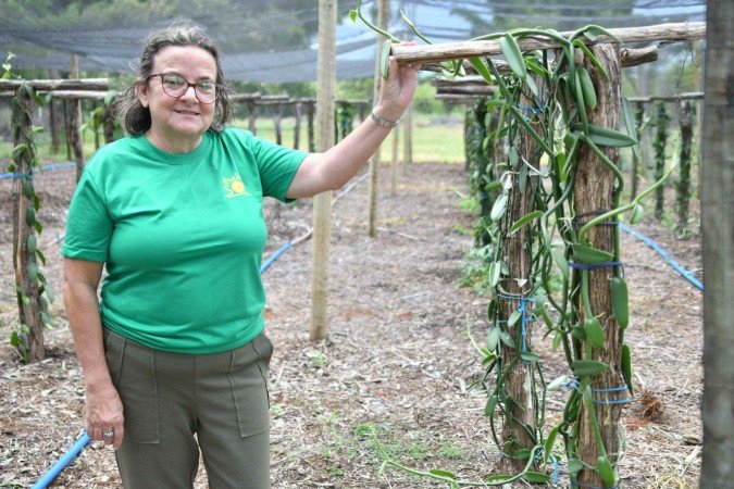 Meire de Assis, da chácara Irmão Sol, mostra as baunilhas plantadas na propriedade