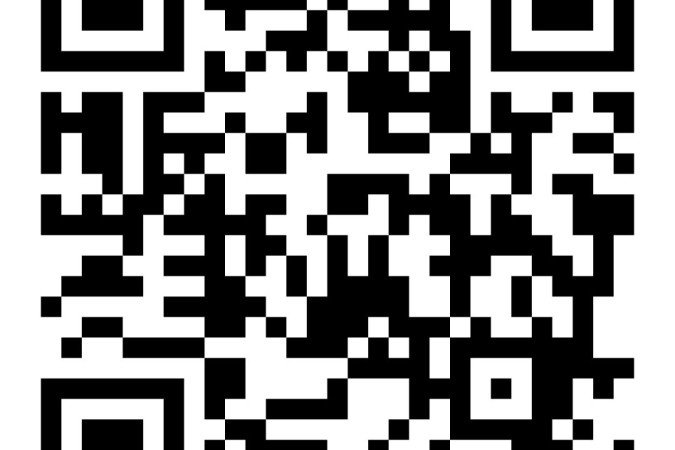 Veja como são produzidos os queijos com leite de cabra