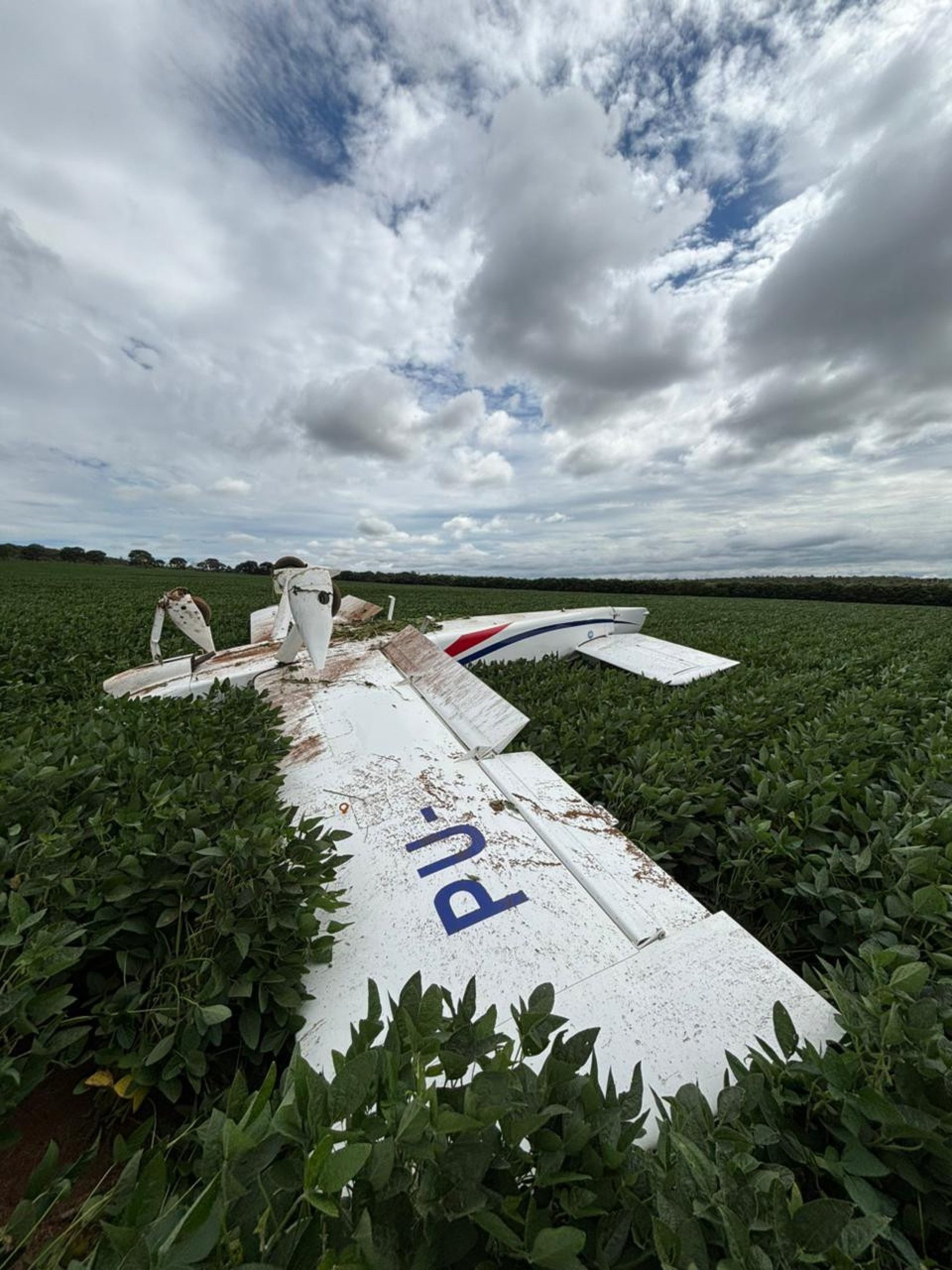Avi&atilde;o de pequeno porte fez pouso for&ccedil;ado em &aacute;rea rural pr&oacute;ximo &agrave; Sobradinho