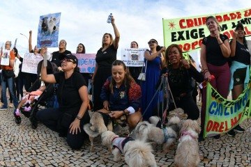 Protesto - Justi&ccedil;a por Orelha 