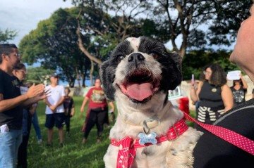 Manifestantes de diferentes estados brasileiros foram &agrave;s ruas na tarde deste s&aacute;bado (31) para cobrar justi&ccedil;a pela morte do c&atilde;o Orelha, em Florian&oacute;polis (SC)