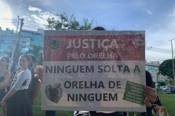 Manifestantes de diferentes estados brasileiros foram &agrave;s ruas na tarde deste s&aacute;bado (31) para cobrar justi&ccedil;a pela morte do c&atilde;o Orelha, em Florian&oacute;polis (SC)