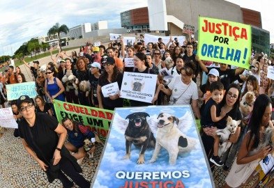 Protesto - Justi&ccedil;a por Orelha 