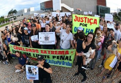 Protesto em Brasília contra a violência sofrida pelo cão Orelha -  (crédito: Divulgação ) -Protesto em Brasília contra a violência sofrida pelo cão Orelha -  (crédito: Divulgação )