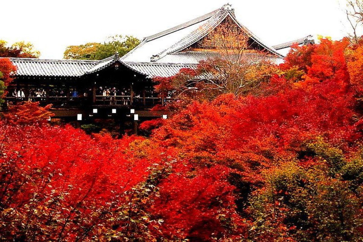 A beleza intensa das flores e plantas em tons de vermelho