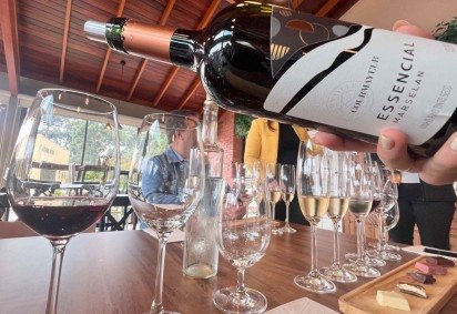 Festa no Interior: regiões vitivinícolas abrem as portas para turistas participarem da vindima -  (crédito: Uai Turismo) -Festa no Interior: regiões vitivinícolas abrem as portas para turistas participarem da vindima -  (crédito: Uai Turismo)