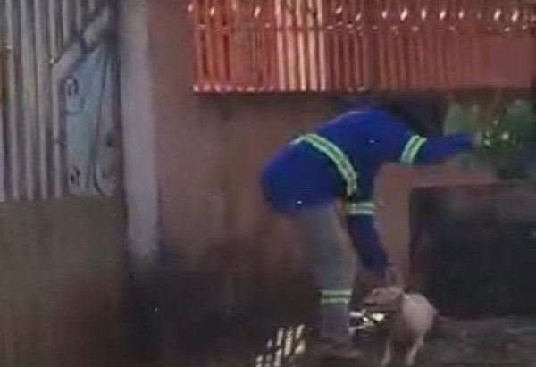 
Homem espanca cachorro em via pública -  (crédito: Cedido ao Correio )