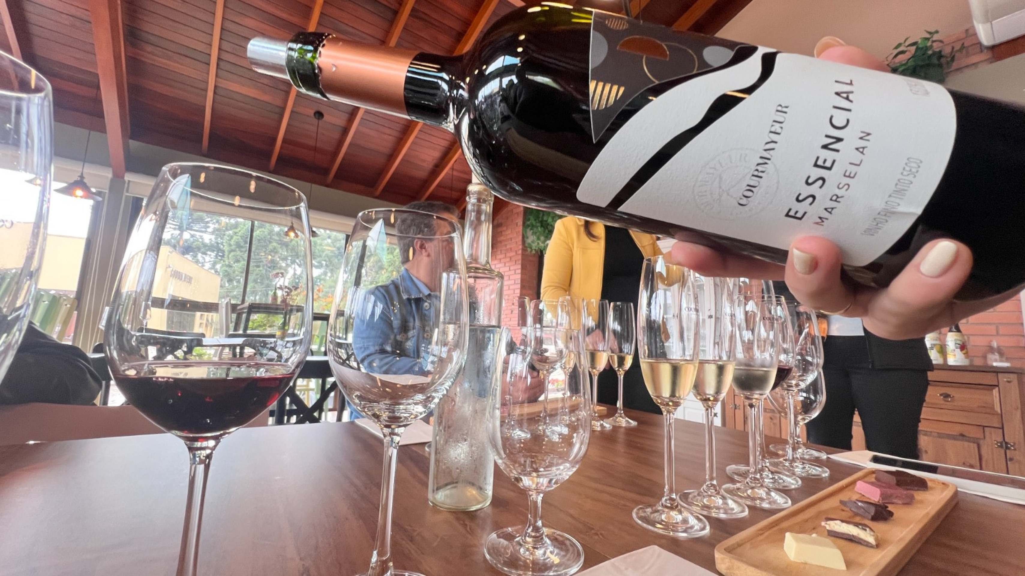 Festa no Interior: regiões vitivinícolas abrem as portas para turistas participarem da vindima