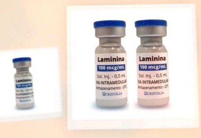 A laminina é extraída de placentas doadas por gestantes após o parto -  (crédito: Cristália) -A laminina é extraída de placentas doadas por gestantes após o parto -  (crédito: Cristália)