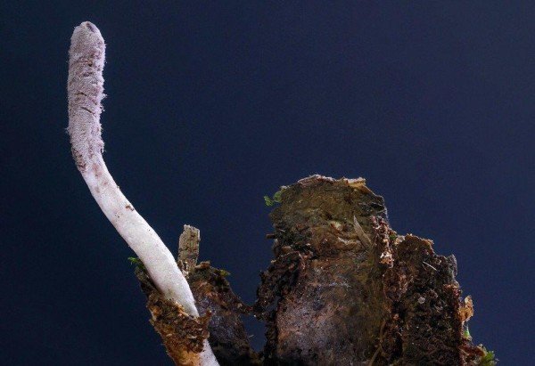 Bloomberg via Getty Images