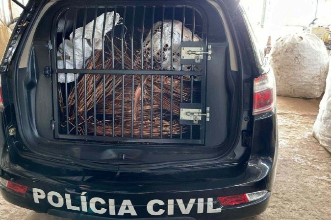 Nos últimos anos, a PCDF tem deflagrado diversas operações para reprimir furtos, roubos e, principalmente a receptação desses produtos -  (crédito: Divulgação/PCDF)